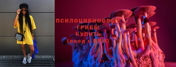 гидра Лихославль