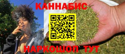 МДПВ Можга