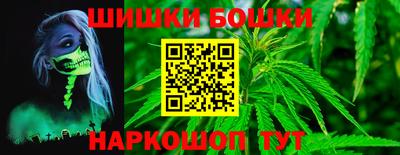 МДПВ Можга