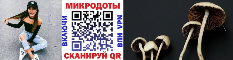 Галлюциногенные грибы MAGIC MUSHROOMS  Лобня 