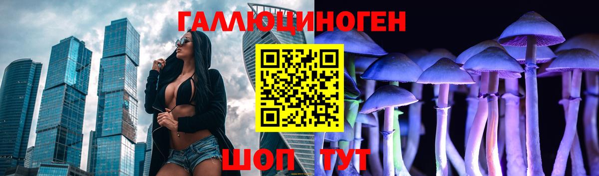 Галлюциногенные грибы Cubensis  Вход с VPN  Лобня 